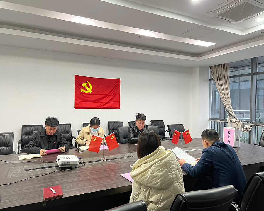 宛陵科創(chuàng)公司召開黨支部支部選舉大會(huì)